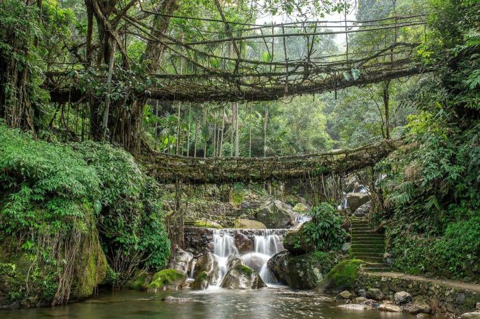 What to Do and See in India's Meghalaya How to relieve hip pain while sleeping