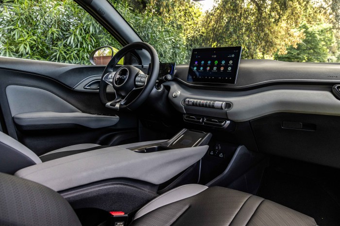 AUTOMOBIL REVUE | BYD Dolphin Surf: Der Elektrokleinwagen startet in… How to clean cats ears