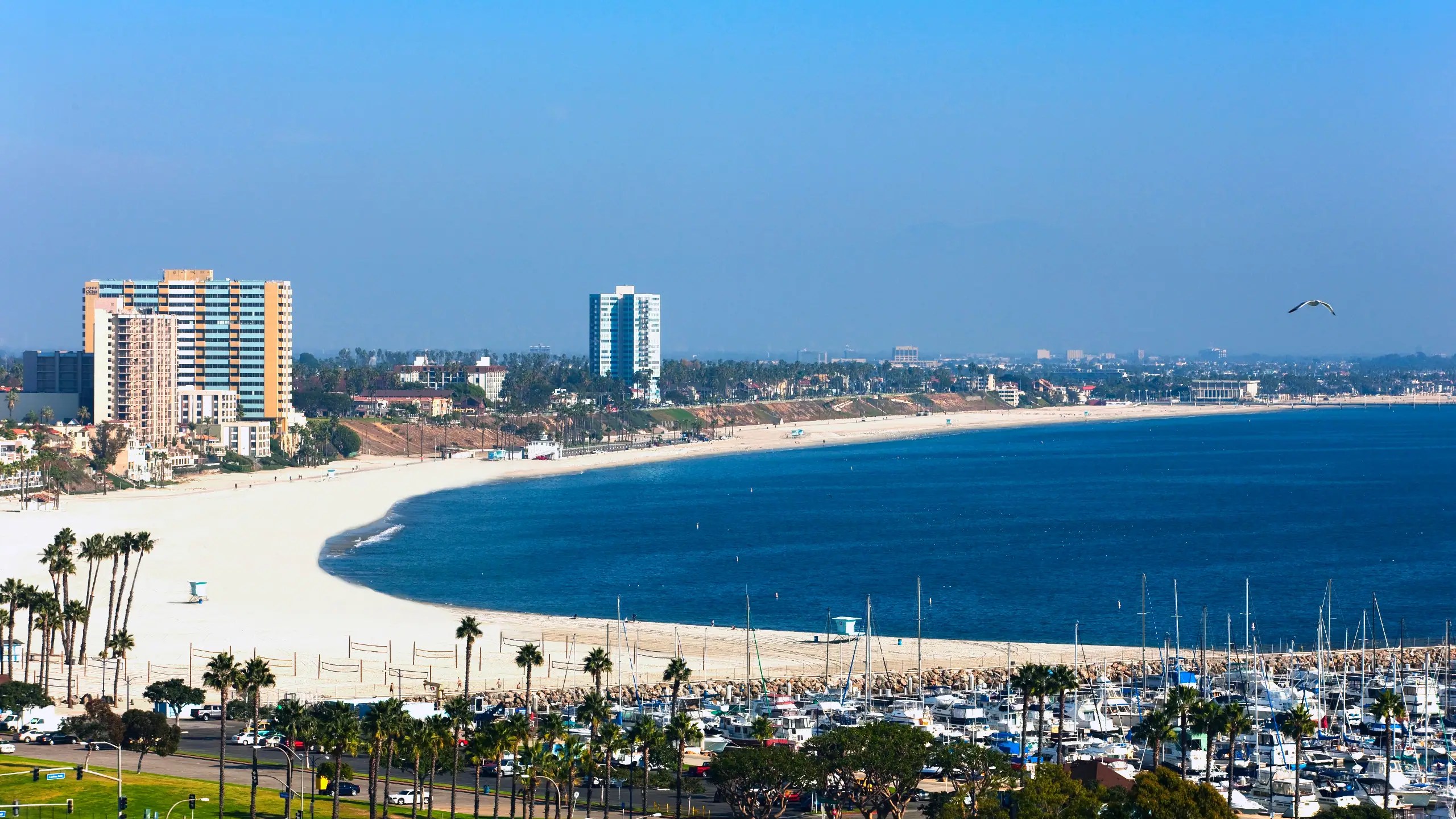 Downtown Long Beach, California Hotels | Hyatt Regency Long Beach How to make invisibility potion