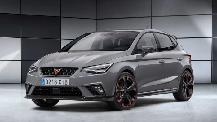 Ibiza Cupra 2018 How to shave balls