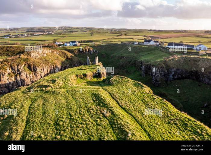 Dunseverick Castle is located west of the village of Dunseverick, in ... How to kill a fly
