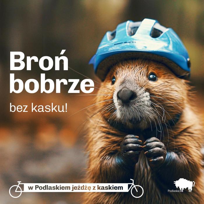 Kampania „W Podlaskiem jeżdżę z kaskiem”. Sztuczna inteligencja ... How to get rid of blackheads on nose