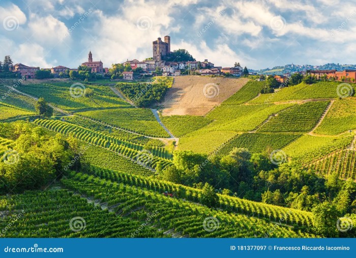 Langhe montelupo albese barolo How to write a summary