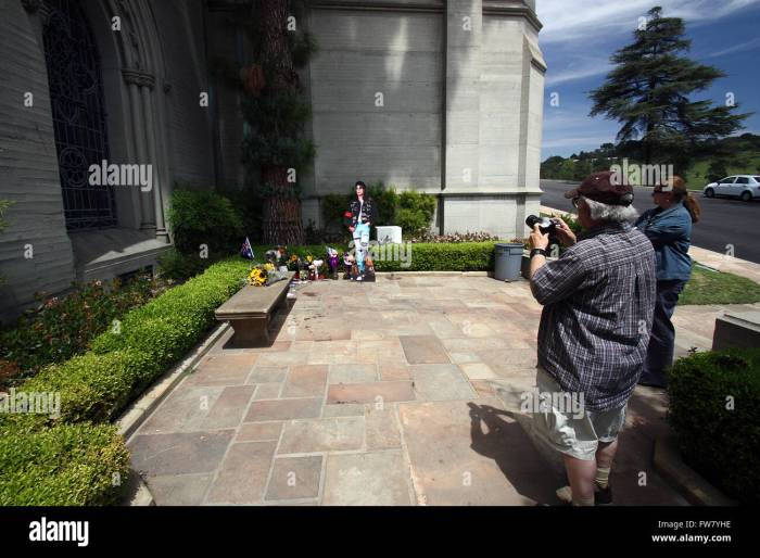 Michael Jackson Friedhof Hersenen Michael Jackson In Bezit Familie How to roller skate