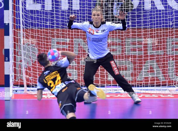 Montbeliard, France 1 december 2018 European Championships Handball ... How to find my apple id
