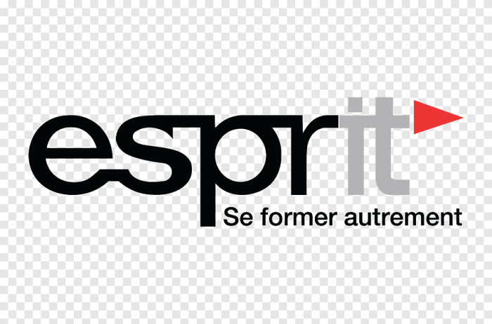 Téléchargement Gratuit | ESPRIT Ecole Supérieure de Communication de ... How to turn off ring camera