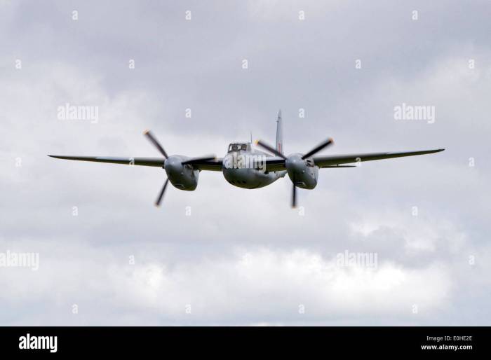 ZWEITEN Weltkriegs Jagdbomber, der einzige fliegende de Havilland ... How to test for endometriosis